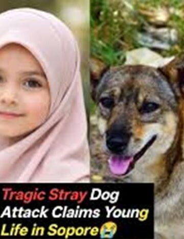 Girl dies after stray dog attack in Sopore