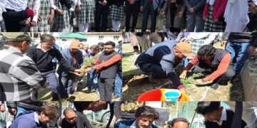 DC Kupwara launches plantation drive at BHSS Kupwara