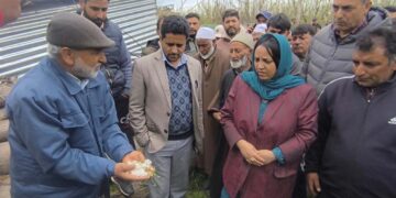 Kulgam Hailstorm Affected Villages