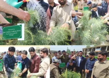 DC Srinagar leads plantation drive