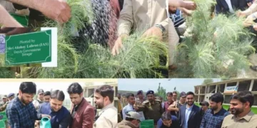 DC Srinagar leads plantation drive