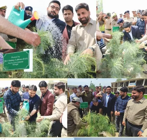 DC Srinagar leads plantation drive