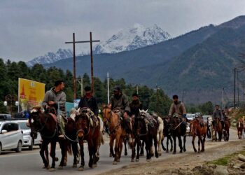 Kashmir trips will go on, no terror attack will dampen spirits, say tourists