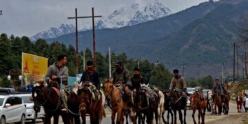 Kashmir trips will go on, no terror attack will dampen spirits, say tourists