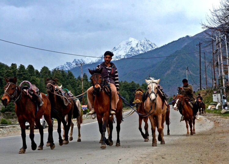 Horsemen riding their horses in renowned tourist destination, Pahalgam in south Kashmir