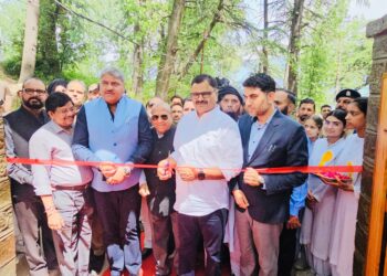 Urban forests key to environmental health, community well-being: Javed Rana