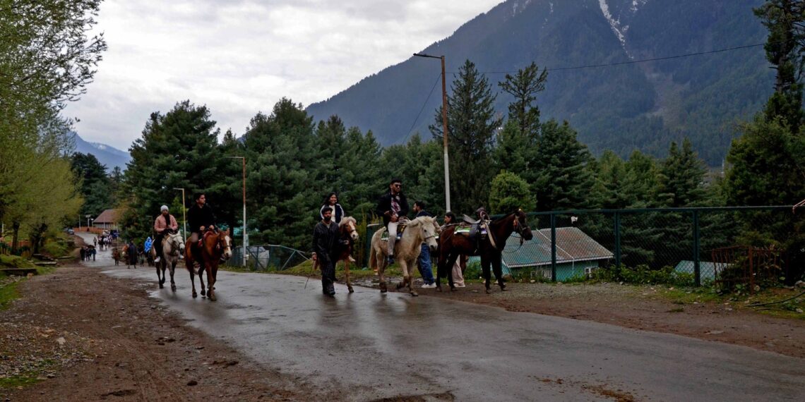 Pony rides continue through misty pine forests in Pahalgam despite rainfall and cold conditions