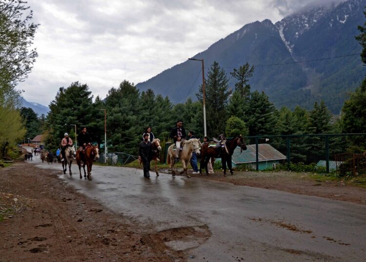 Pony rides continue through misty pine forests in Pahalgam despite rainfall and cold conditions