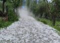 Hailstorm damages orchards in south Kashmir