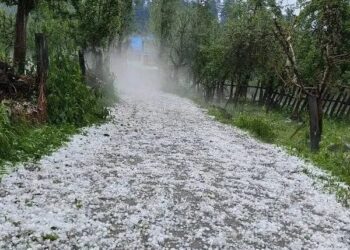 Hailstorm damages orchards in south Kashmir