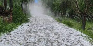 Hailstorm damages orchards in south Kashmir