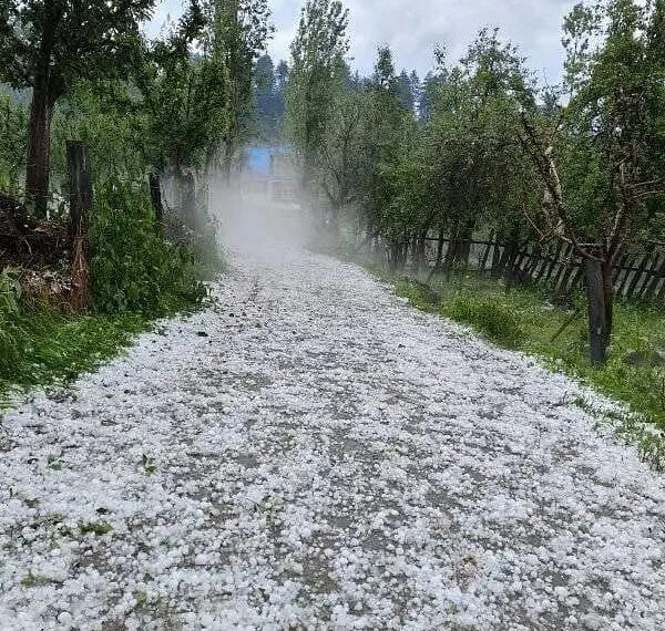 Hailstorm damages orchards in south Kashmir