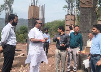 Govt committed to timely implementation of public welfare, infrastructure projects: Deputy CM
