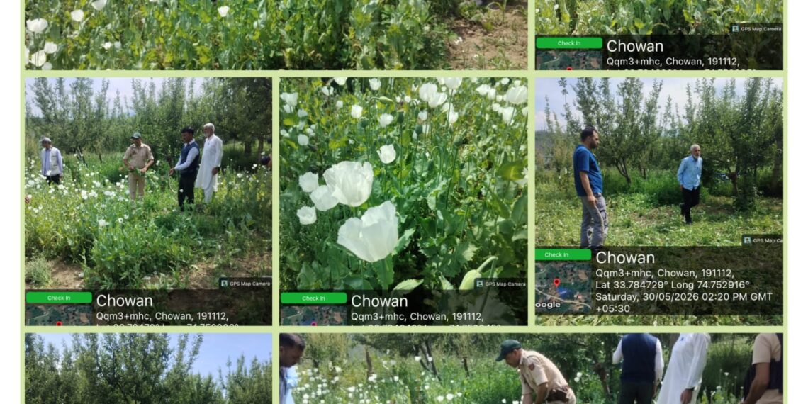 Excise Department intensifies drive against illicit poppy cultivation in Shopian