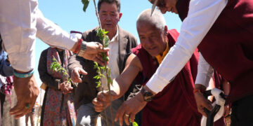 Ladakh LG launches plantation of 2,100 cherry saplings in Phyang belt