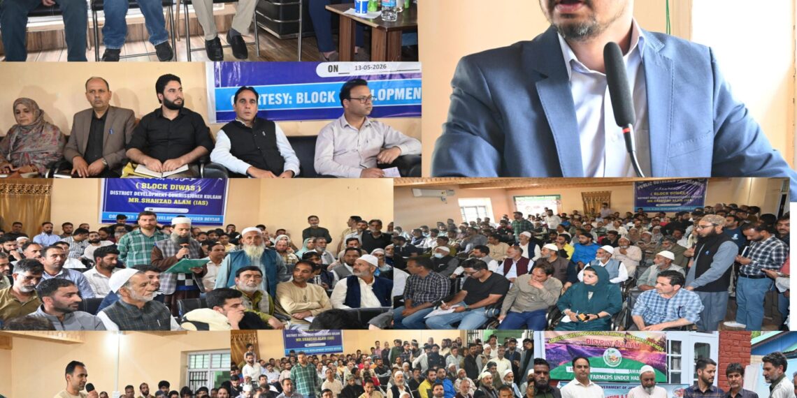 DC Kulgam chairs block diwas at Devsar