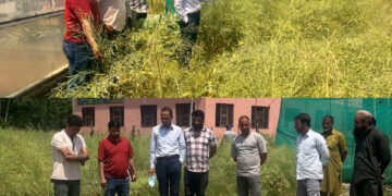 Divisional Seed Certification Officer visits SM Farm Watapora