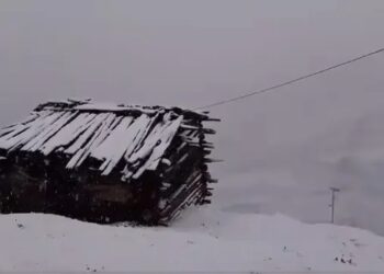 Fresh snowfall in Minamarg, Drass