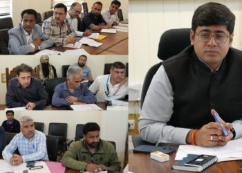 PM Surya Ghar scheme: DC Ganderbal reviews progress