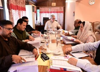 Cabinet discusses 200 units of free power to AAY families
