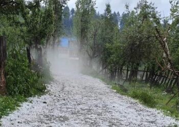 Hailstorm-hit growers say govt ignoring crop insurance, loan waiver pleas