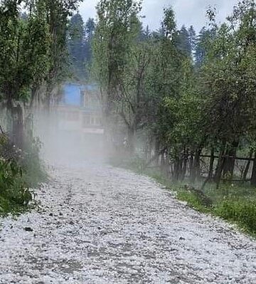 Hailstorm-hit growers say govt ignoring crop insurance, loan waiver pleas
