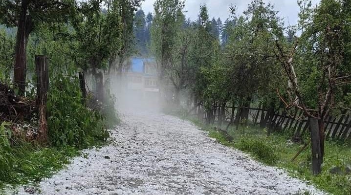 Hailstorm-hit growers say govt ignoring crop insurance, loan waiver pleas
