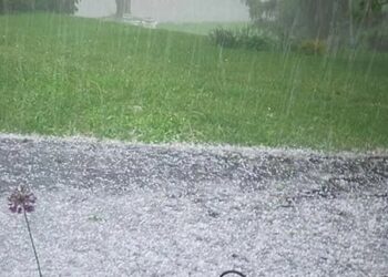 Hailstorms damage apple orchards, standing crops in Kashmir parts