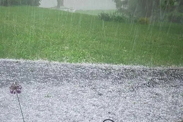 Hailstorms damage apple orchards, standing crops in Kashmir parts