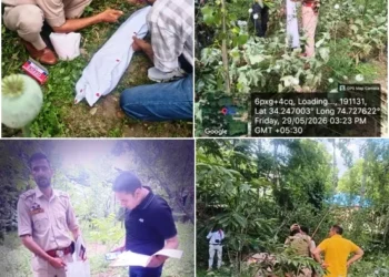 Central Kashmir Excise Range destroys poppy cultivation