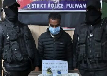 Terrorist associate arrested in Pulwama
