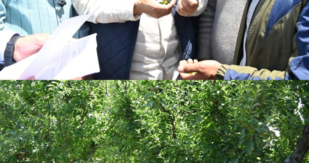Javid Dar tours hailstorm hit Rafiabad, assures relief to affected farmers
