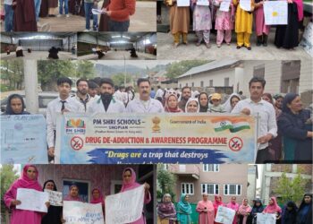 Counselling sessions, awareness drives held across Shopian