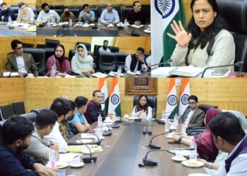 Dir Info reviews functioning of DICs across Kashmir Division