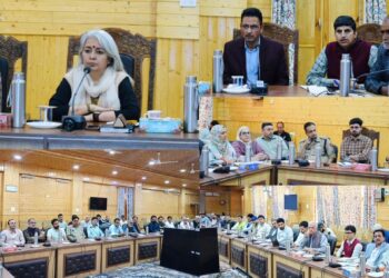 DC Bandipora chairs stakeholder meeting on draft GIS-based Master Plan 2026–2046