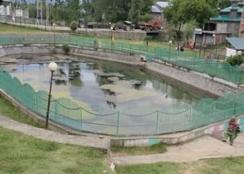Kulgam Chinar Spring withers, locals plead revival