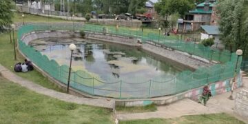 Kulgam Chinar Spring withers, locals plead revival