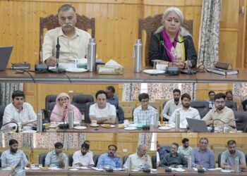 Horticulture Deptt issues advisory for hail-affected orchards in Bandipora