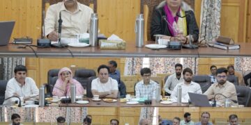 Horticulture Deptt issues advisory for hail-affected orchards in Bandipora