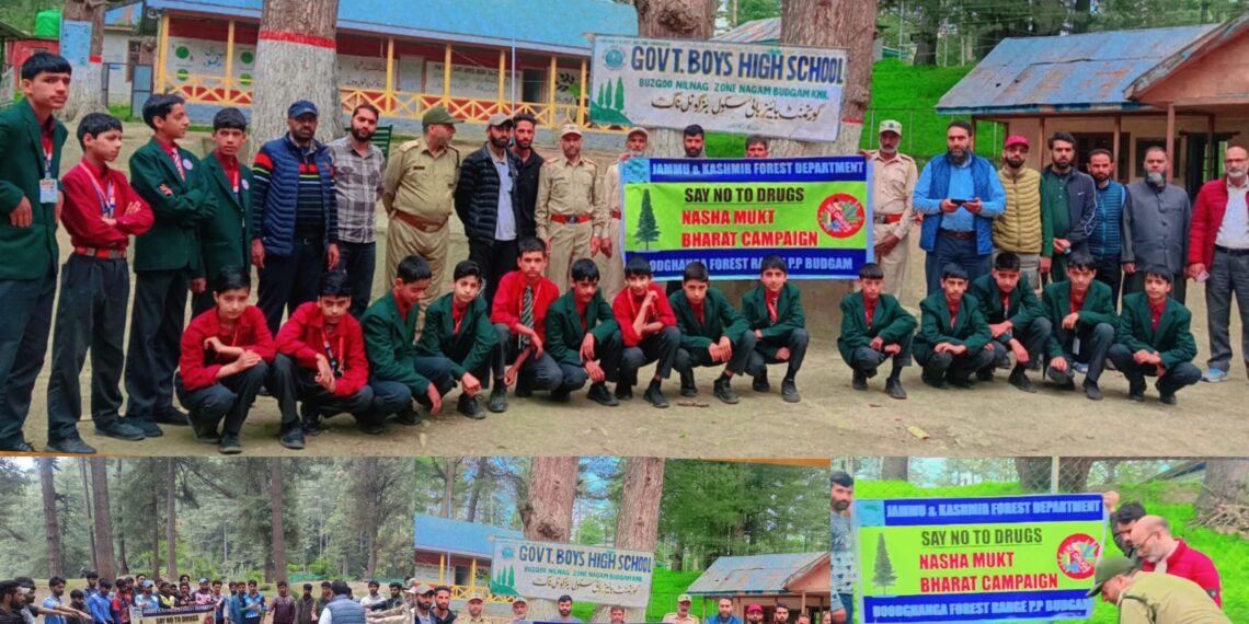 Anti-drug campaign intensified in Budgam