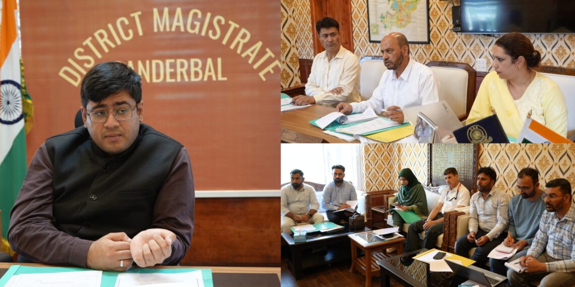 Mission YUVA : DC Ganderbal reviews progress, 163 cases approved for financial support