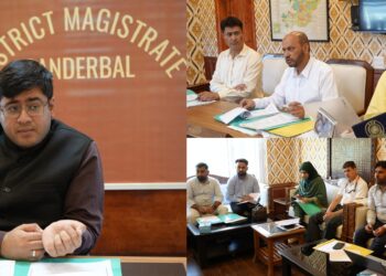 Mission YUVA : DC Ganderbal reviews progress, 163 cases approved for financial support
