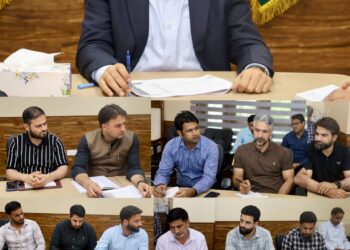 DC Srinagar chairs meeting of revenue officers