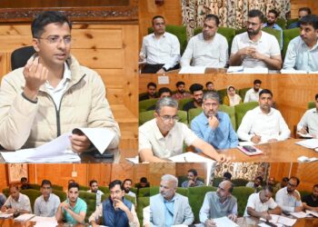DC Shopian reviews progress under PM Surya Ghar-Muft Bijli Yojana, RDSS