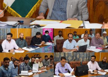 DC reviews progress of agriculture, allied sectors in Pulwama