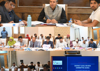 DDC Anantnag chairs Bankers’ DLRC meeting