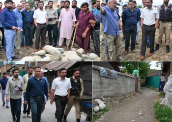 DDC Kulgam assesses MGNREGA works in Chansar, Shouch Panchayats