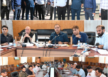 Director RDD Kashmir reviews developmental progress in Baramulla