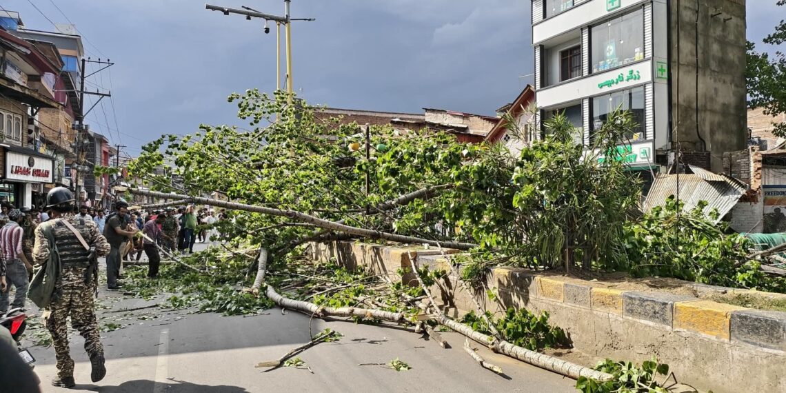 Man dies, wife critical after tree falls in Anantnag