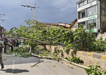 Man dies, wife critical after tree falls in Anantnag